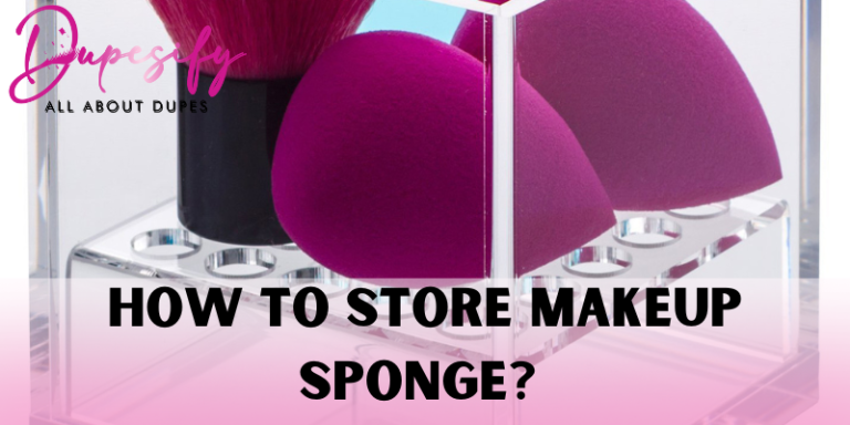How to Store Makeup Sponge? Complete Guide